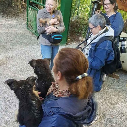 I nostri clienti felici di riabbracciare i propri Amici animali